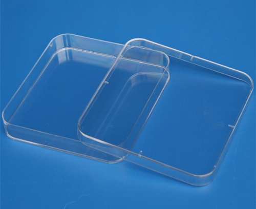 方形塑料培养皿