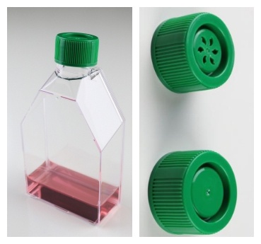 Cell cuture flask