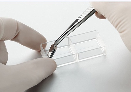 tweezers for cell culture
