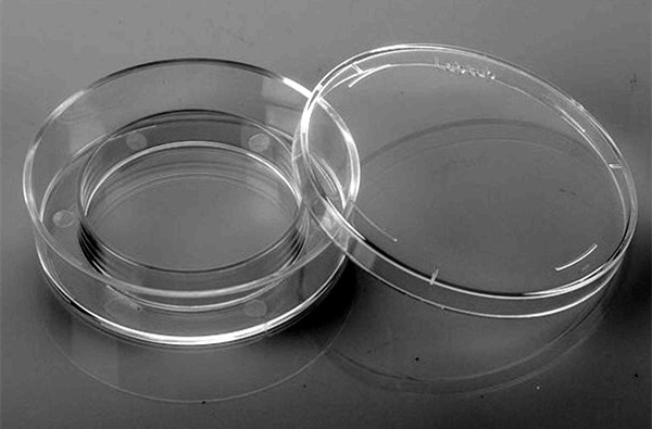 胚胎培养皿