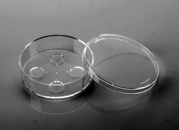 Thawing cells Dishes